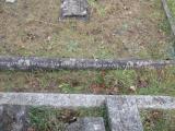 image of grave number 709407